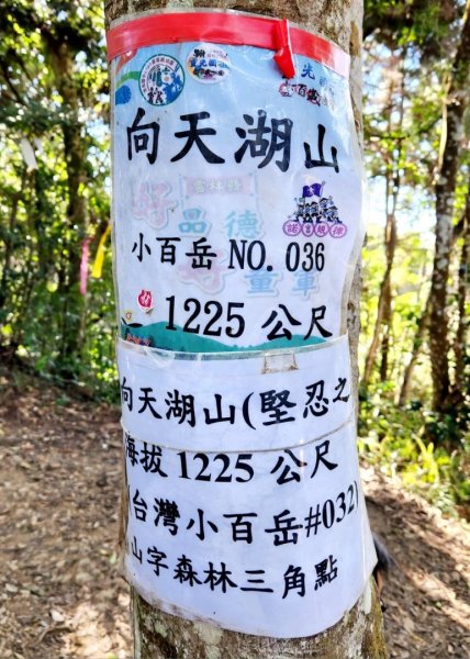 【中級山縱走 】向天湖山，三角湖山，光天高山2742281