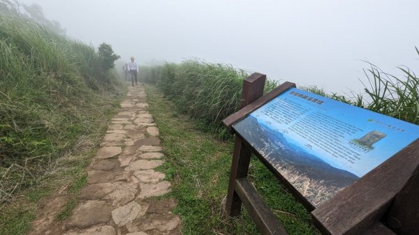 112.06.03風櫃嘴-頂山-石梯嶺-擎天崗東峰-頂山西南峰2172368