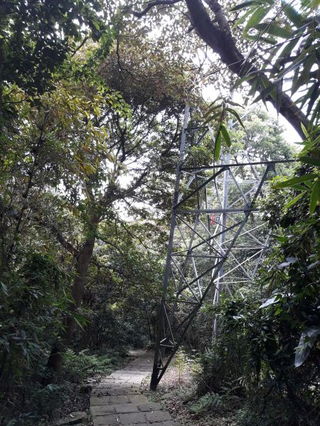 天母水管路步道(天母古道)及下竹林步道412337