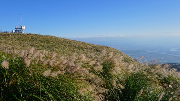 大屯主峰步道(11.16)737359