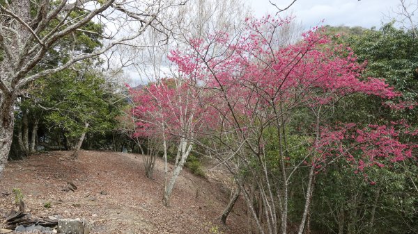 卡社山、拉夫郎西北峰1616474