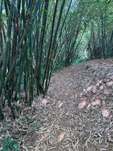 淡蘭古道南路第一段第二段2822840