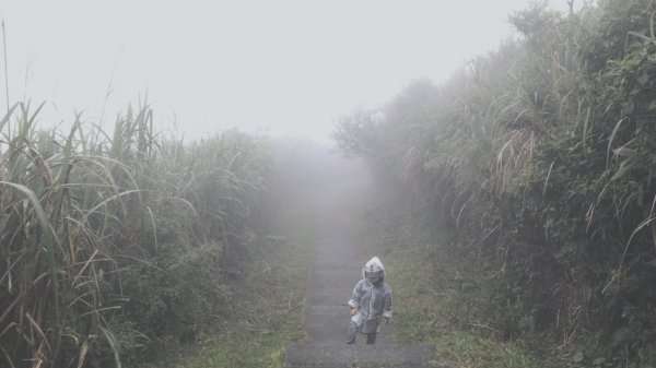 20200411-五分山步道914472