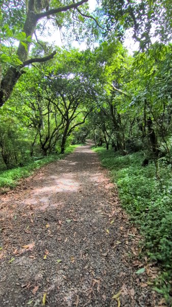 2025-06-14 臺北大縱走第一段來回2814751