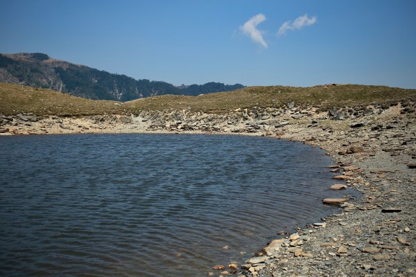 能高安東軍：以水鹿的視野望著湖畔