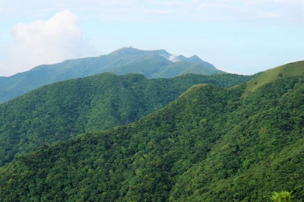 陽明山  菜公坑山 反經石   水車寮步道。林木蓊鬱  豐富的蕨類植披，絕佳避暑古道2174062