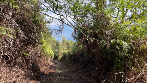 過坑山快閃2685083