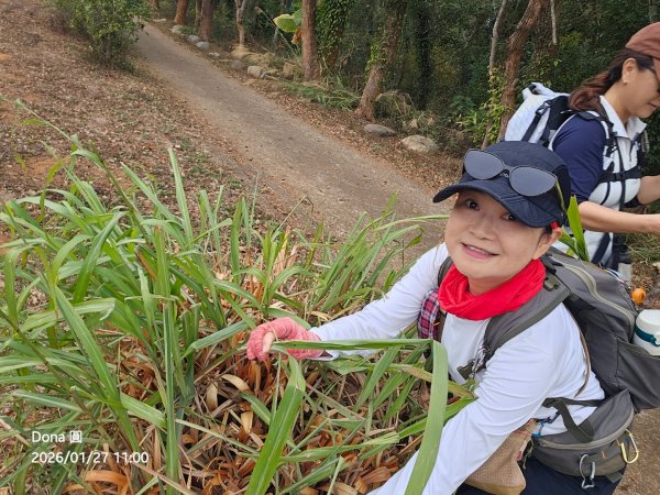 20260127三通嶺山.三義山(大桁茂山).慈濟山.大坪山大O走2989905
