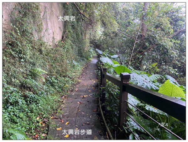 太興岩步道、萬鷺朝鳳、巧雲小棧 (嘉義 梅山)2886380