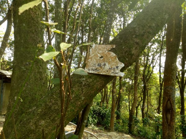 南勢角山縱走天上山1866381