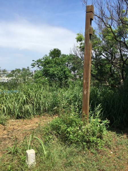 造橋口山古道434825