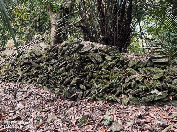 大同芃芃溫泉執信橋川中島岐路駐在所3027594