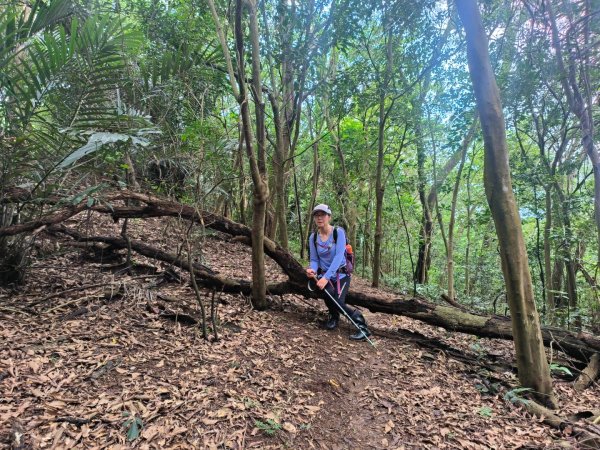 1130608 倒別牛山O繞飛鳳山2524074