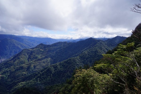 新竹關西鎮 水田林道之貴妃&那結山連走1539722