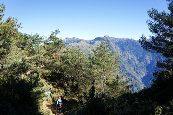 鹿林山、鹿林前山、麟趾山803783