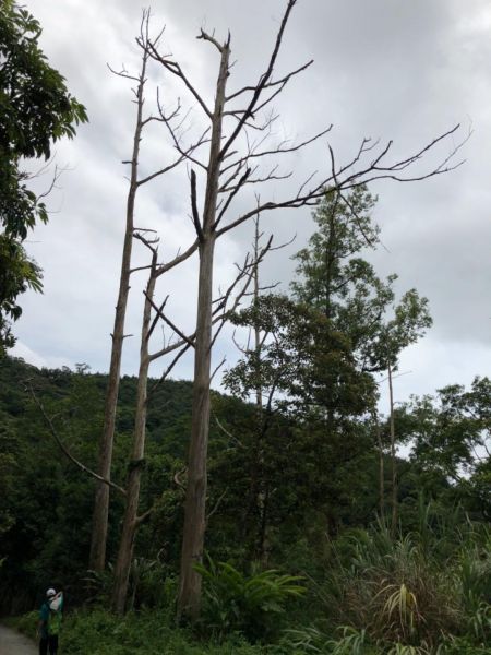 1070715聖母山莊393552