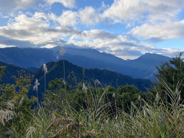 南橫小關山林道登斯拉巴庫山 2021161233192