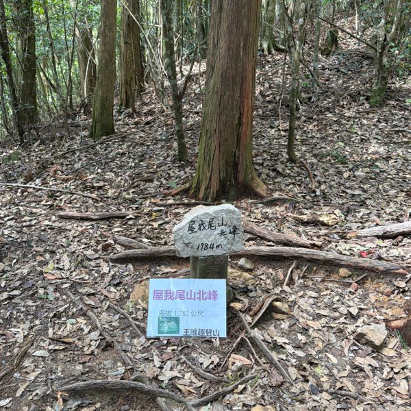 1150619屋我尾山北峰-屋我尾山主峰-屋我尾林道O繞3078456