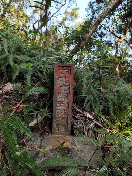 【臺北大縱走 5】碧山巖→忠勇山越嶺步道→金龍產業道路→圓明寺步道→鄭成功廟步道→文間山→劍潭山步道2744888