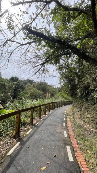 樟之細路-尋寶💎任務1-53019793