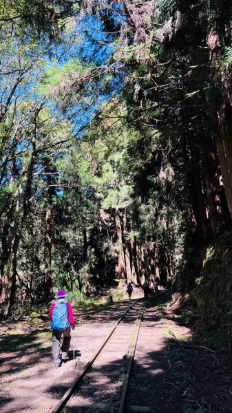 🌈10/11（日）消失的阿里山森林鐵路FB：熊熊趴爬走(富裕登山社)🌈3134736