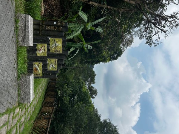 內湖金面山2811760