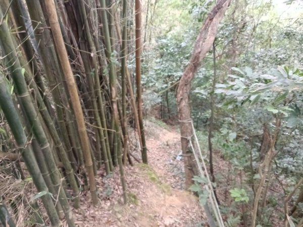 寶山鄉寶山水庫(寶山東峰+中峰+中西峰+西峰+西北峰)+尖山O型3012539