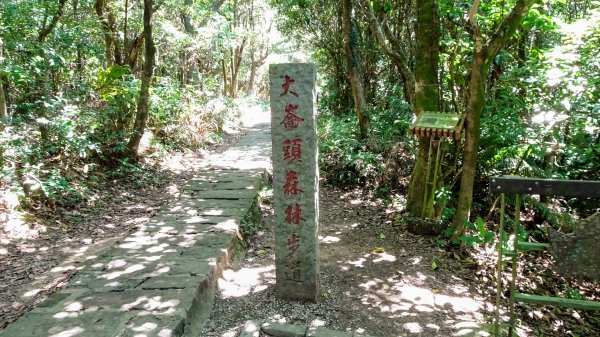 帕米爾公園,台北小溪頭1772382