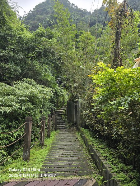 2025-12-14微笑山線：【二格山系】銀河洞越嶺段2962122