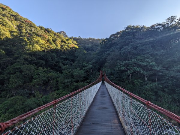 虎山加里山2606351