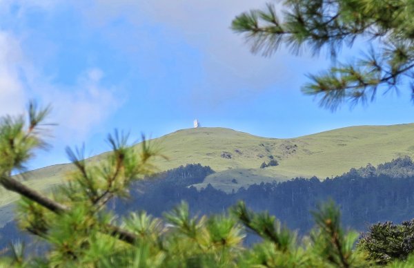 卯木山 （合歡越嶺古道）拜訪山頂森林瞭望台1462275