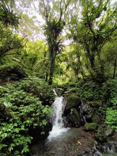 迷霧抹茶山1712753