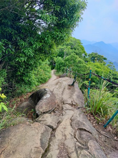 金面山/白石山-小百岳#21-桃園市大溪區2247874