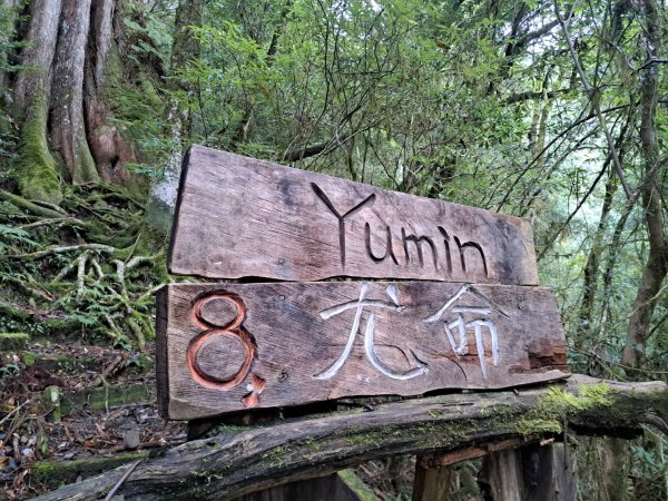 2026森遊竹縣：北得拉曼步道，新竹鎮西堡巨木群步道3130299