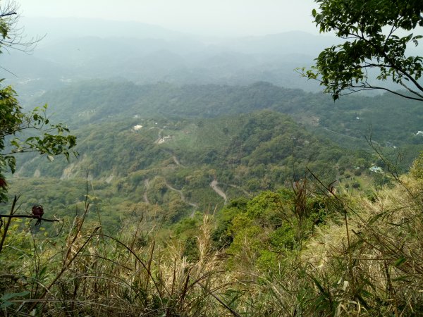 小百岳暗影山(高巢森活上)1909921