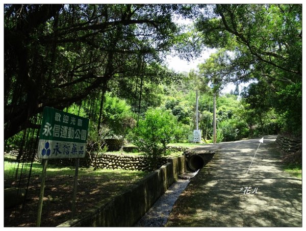 大甲/鐵砧山(小百岳)631024