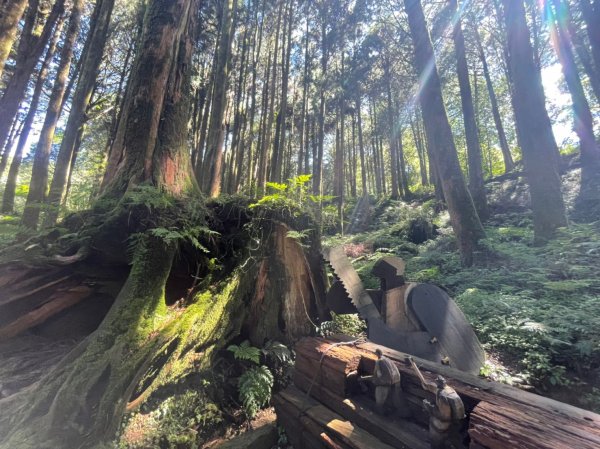 小百岳(59)-大塔山-202209251878716