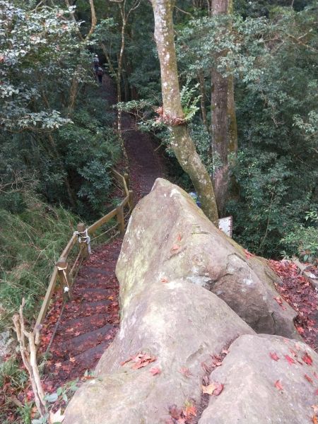 馬那邦山登山步道 2017 12 17226399