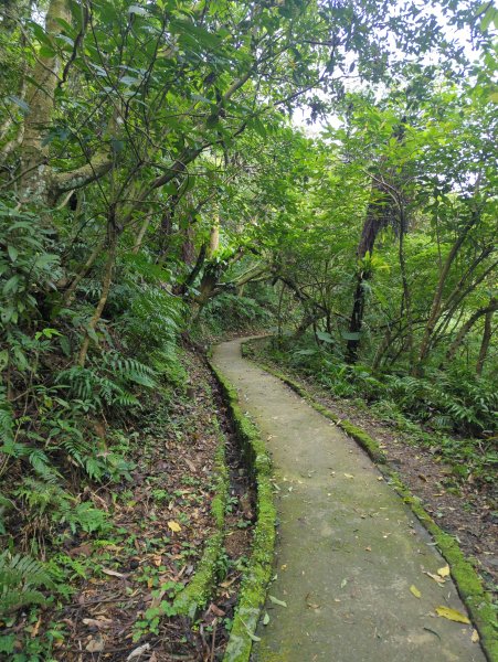 2026.03.08－微笑山線：【二格山系】銀河洞越嶺段&貓空纜車3014647