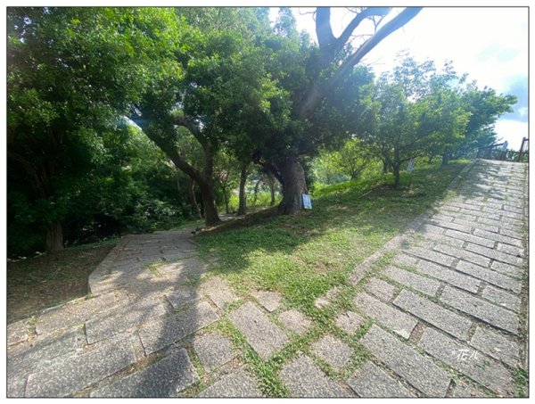 花壇、虎山巖步道3064353