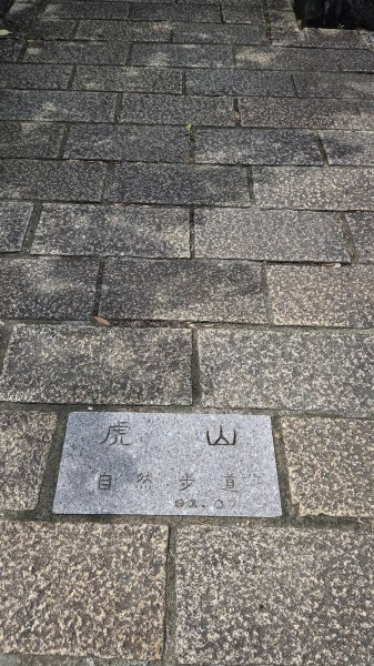 20260808 虎山親山步道3099953