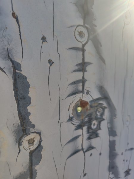 南東眼山連走有勝山2918720