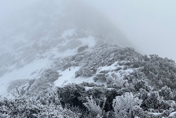 雪山薄雪輕健行1585785