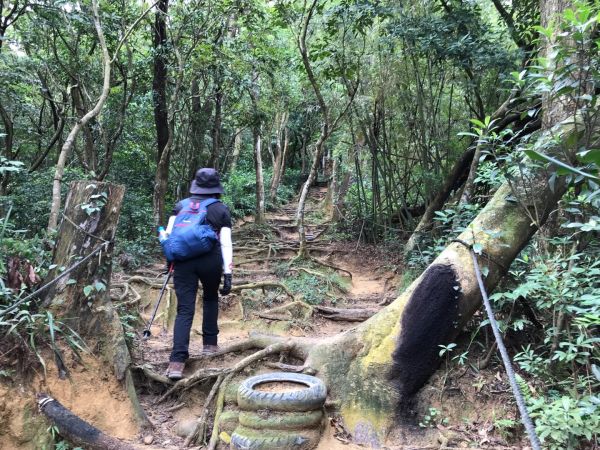 飛鳳山觀日坪連走中坑山388293