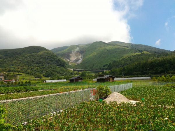 頂湖環狀步道372941