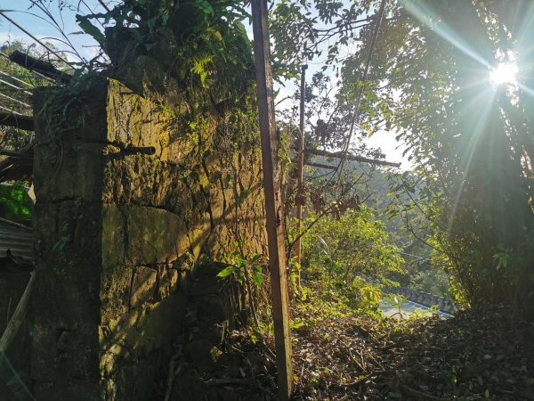 猴山岳萬壽路登山口-猴山岳-林家草厝-猴山岳山腰路-泰元農場 踽踽獨行之二2720855