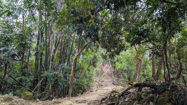 【台灣健行】台中天際線、南觀音山2695739