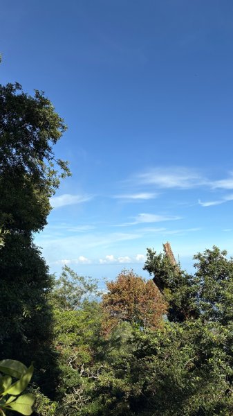 雲海2835108