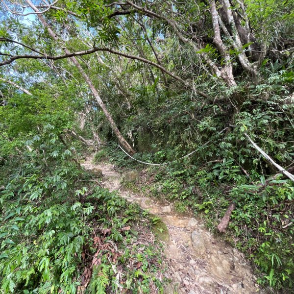 20251013_都蘭山（台東小百岳）2941324