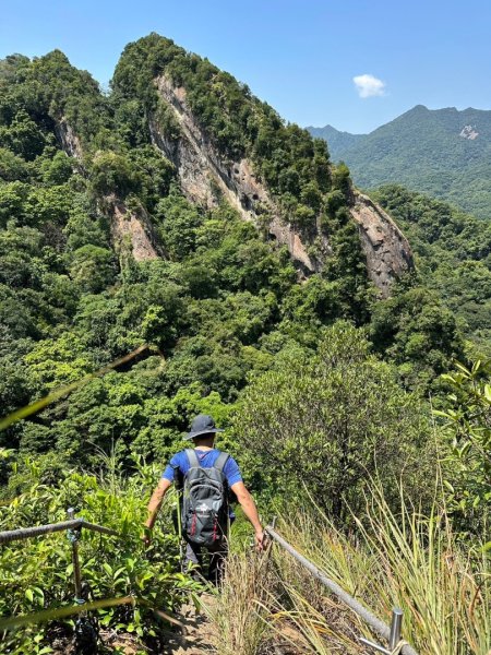 孝子山、普陀山、慈母峰賞鹿子野百合O走2592959